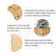 Collier d'arbre en bois massif