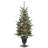 4 ft. Snowy Morgan Spruce Entrance Tree with Twinkly LED Lights
