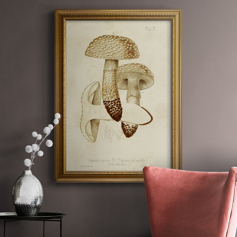 Toile encadrée de qualité supérieure Mushroom Variétés, H 20 po x l 16 po x P 2,5 po