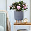 Ribbed Cylinder Planter with Feet-1753896807-1753896811