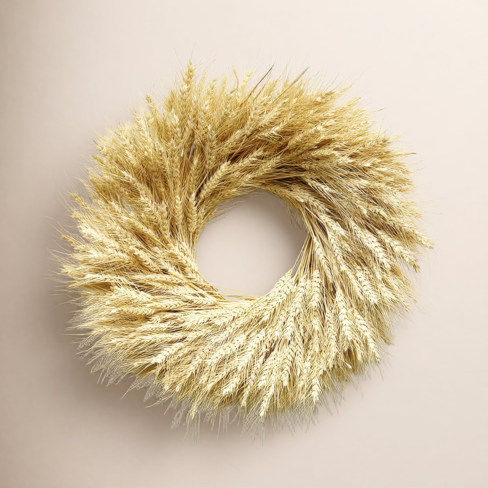 Preserved Natural Blonde Wheat 22" Fall Wreath, 19'' H x 19'' W