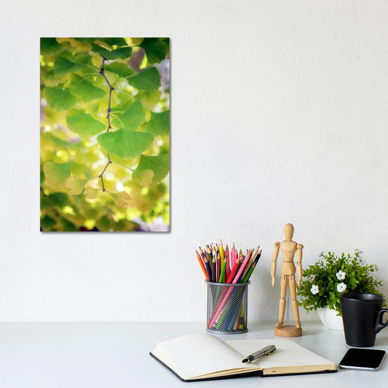 Fossil Leaves by Philippe Sainte-Laudy - Print on Canvas, 20.32 cm H x 30.48 cm W, Wrapped Canvas