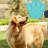 Licking Mat Slow Feeder For Dogs Cats