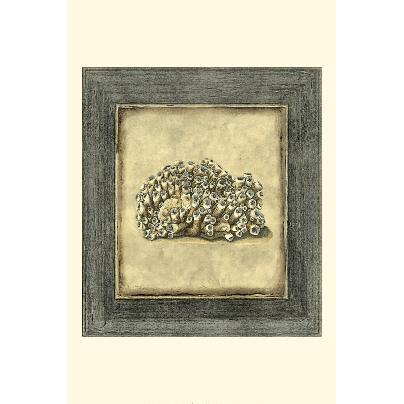 Mini Exotic Coral I (U) - Wrapped Canvas Print, 76cm H x 51cm W x 3.8cm D