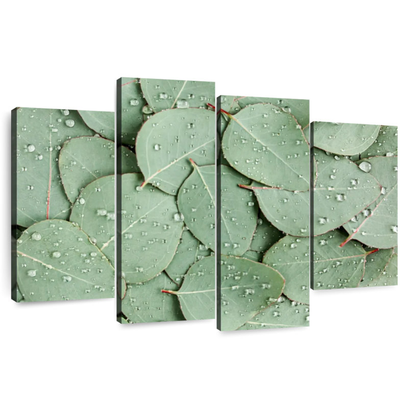 Poils de feuilles d'eucalyptus Harnek Dewy, H 22 po x l 36 po