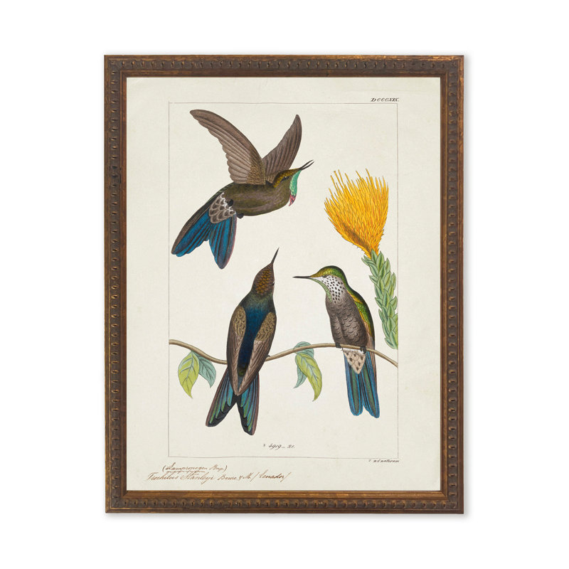 Colibris autour d'une fleur jaune dans un cadre perlé bronze