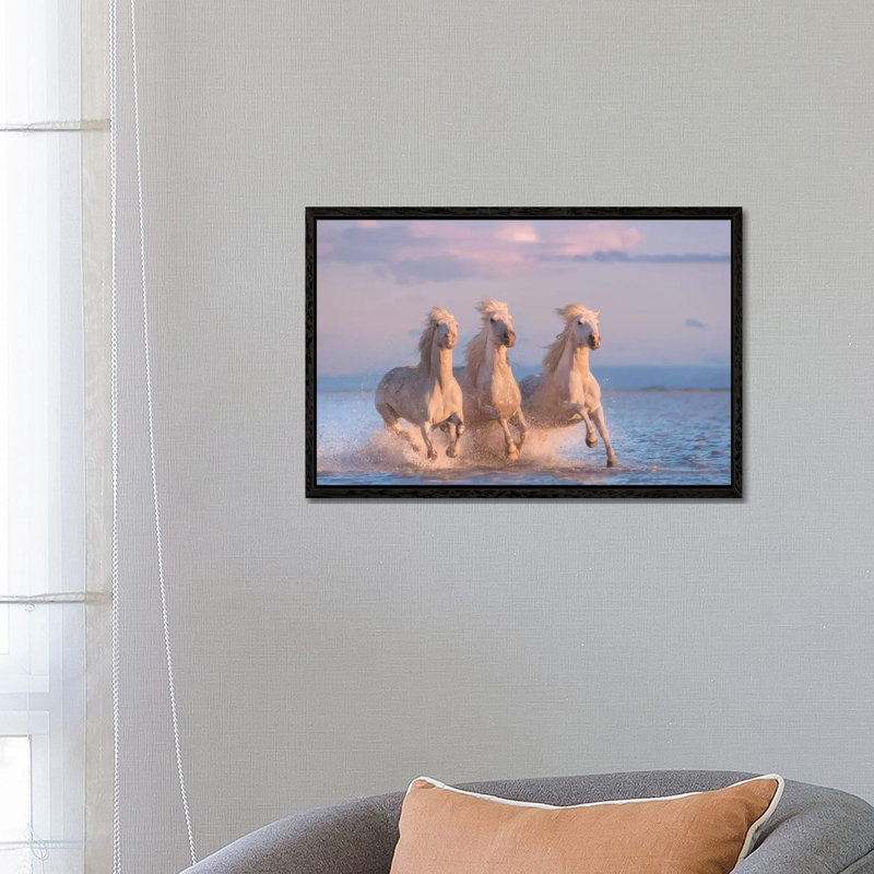 White Angels Of Camargue XXX by Daniel Kordan - Print on Canvas, Black Framed, 66.04 cm H x 45.72 cm W