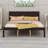 Shauna Bed-699055339-699055337