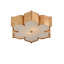 Grand Lotus 2 - Light Flush Mount