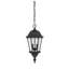 Lanterne suspendue d’extérieur 2 lumières Syliva-26243692