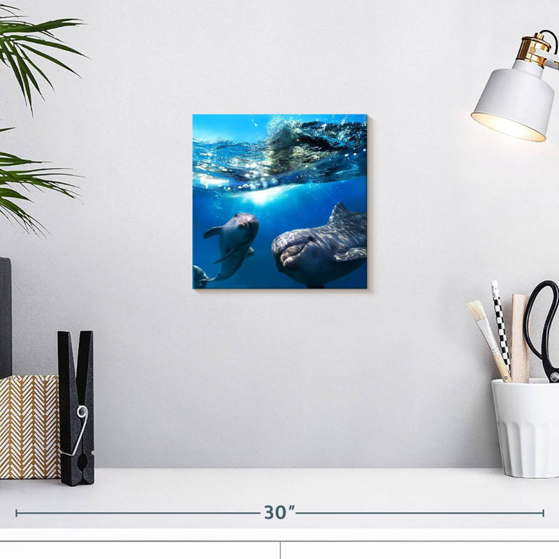 Dauphins ludiques Brampt, H 10 po x l 10 po