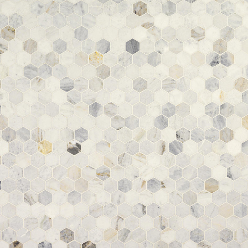 Carreau de marbre et mosaïque en marbre aiguisé hexagonal 12 po x 12 po Castella de Blanc