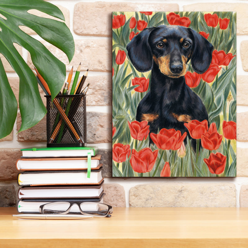 «Dachsund In Tulips On Canvas» par Barbara Keith, reproduction, H 16 po x l 12 po x P 0,75 po