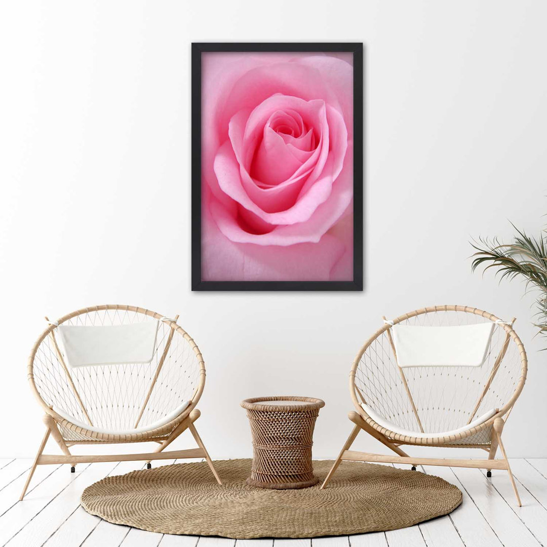 Gerahmter Fotodruck Romantic Rose