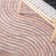 Stalnaker Hand Tufted Performance Abstract Rug