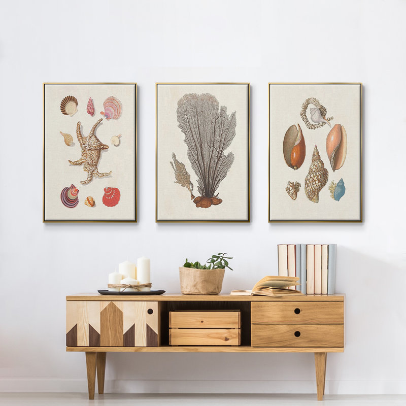 Knorr Shells & Coral I, impression sur toile 3 pièces, Or, H 48 po x l 96 po x P 2 po