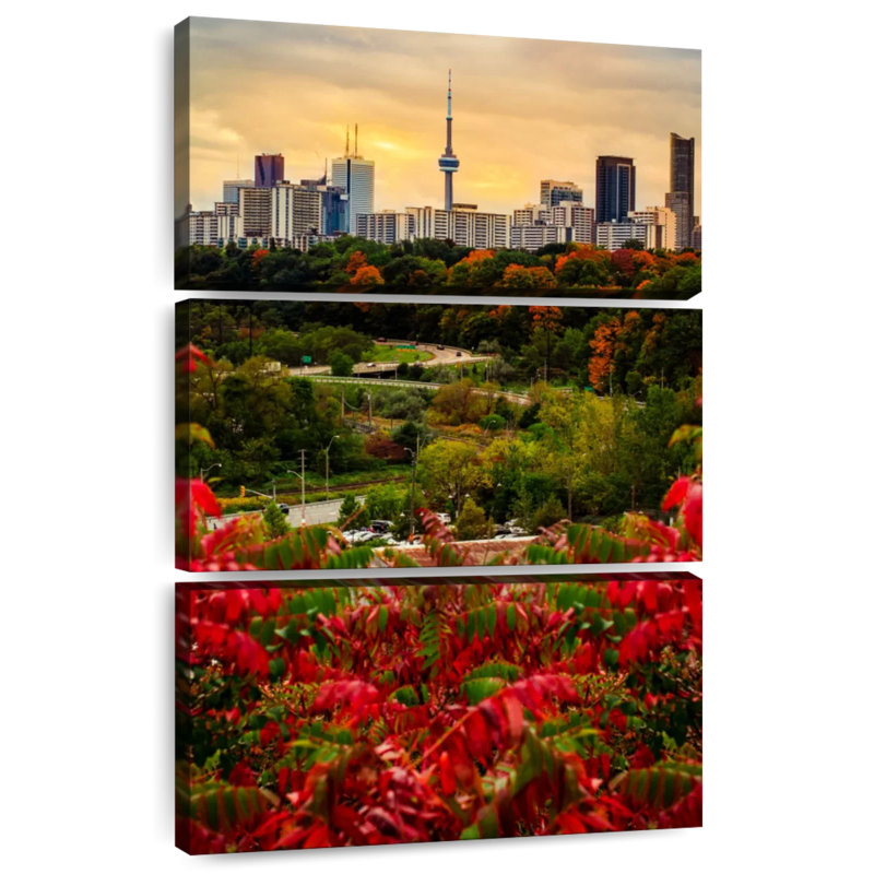 Sirci Toronto Autumn