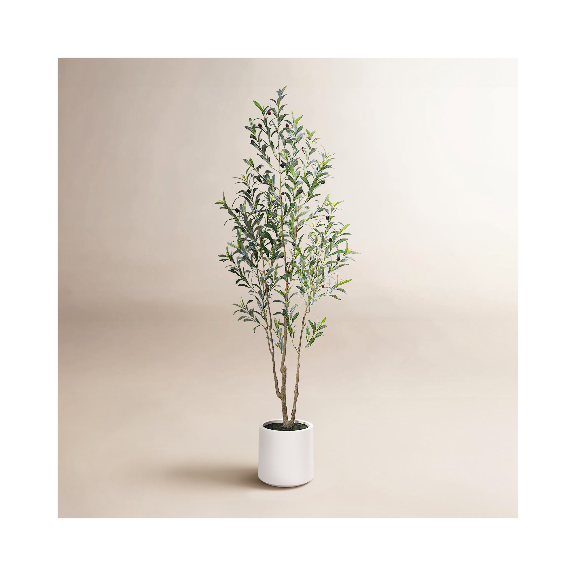 Altman Faux Olive Tree in White Planter, Lifelike Fake Olive Plant for Indoor and Outdoor Decor, 72'' H X 9.5'' W X 9.5'' D