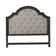Arianni Upholstered Arched Panel Headboard