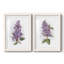 Impression encadrée Awash In Lilac I-Premium - prêt à être accroché-356478985-356478984