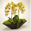 Orchid Floral Arrangement in Metal Planter-1631569096