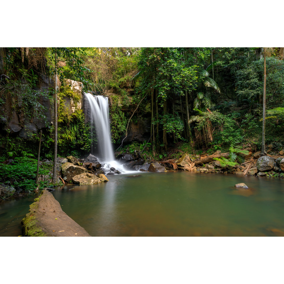 Curtis Falls - Tropischer Regenwald Wasserfall Australien von Thurtell - Druck