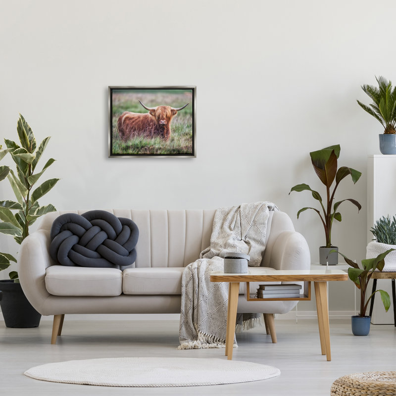 Highland Longhorn, bovins, pâturages, campagne, prairie, par James Dobson - Photographie sur toile tendue