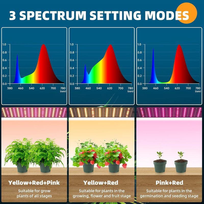 Support pour plante à 6 niveaux Barrina avec paquet de 5 panneaux lumineux 50W