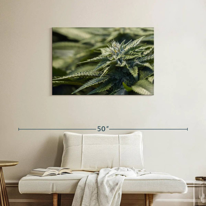 Crystallized Marijuana Plant, 24" H x 36" W