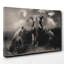Lion Lionesses and an Elephant Photographic - Wrapped Canvas-19091628