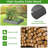 Srihaas Outdoor Planter Box