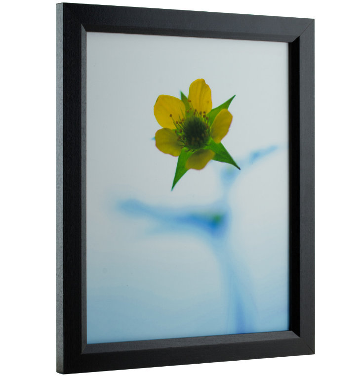 Cadre simple, Noir, 14 po x 24 po