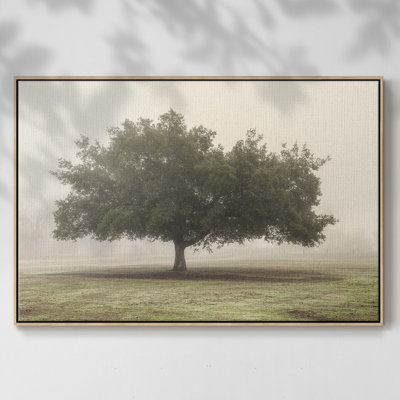 " Trees In The Fog II "