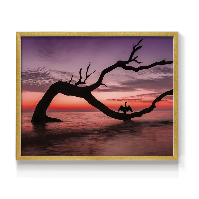 Photography Study Sunset Beach -Framed Print - Restickable