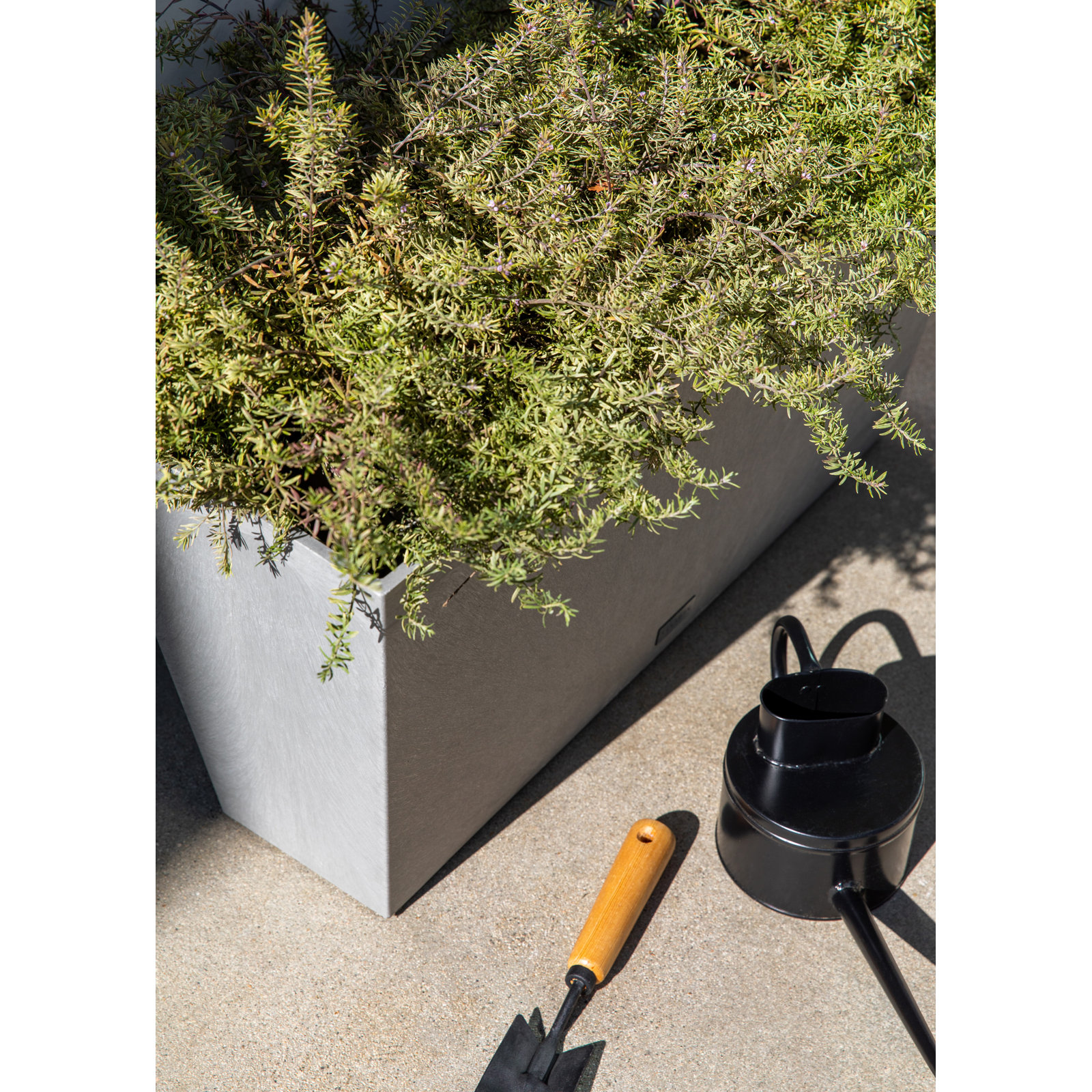 Pure Series Midori Planter, Charcoal Gray, 15.25" H x 31" W x 10" D, 2