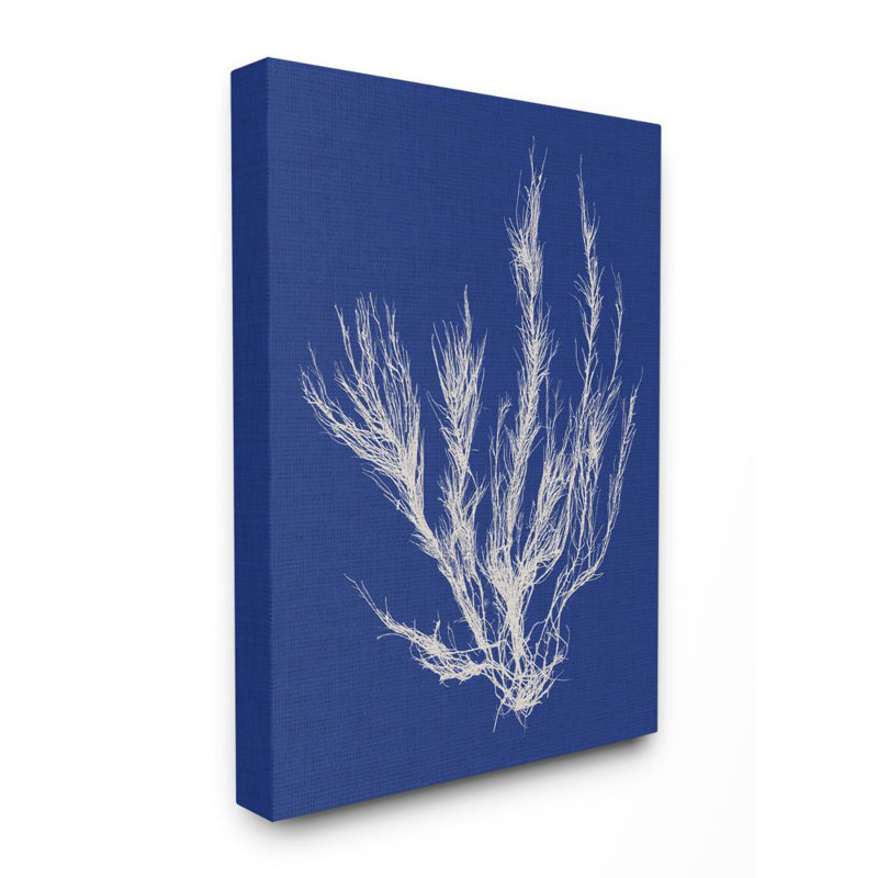 «Coral Seaweed Blue White Beach», impression, Toile tendue, H 16 po x l 20 po x P 1,5 po
