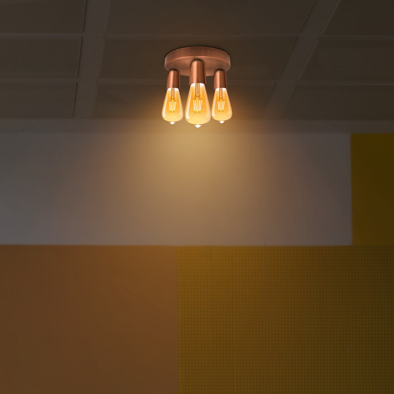 Nantan Spotlight, No, Copper