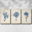 Corail antique en bleu marine, ensemble de 3 pièces encadrées sur toile-97760009-97760004