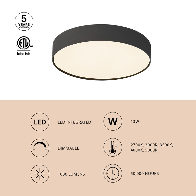 Rynn 5-in Black dimmable LED Flush Mount, Matte Black
