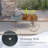 Chasitty Planter-1636729366