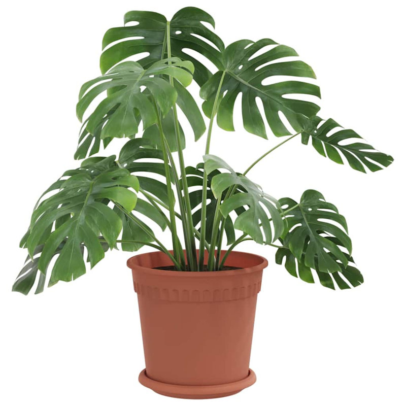 Pot Planter, 16cm H x 19cm W x 19cm D, Brick Red