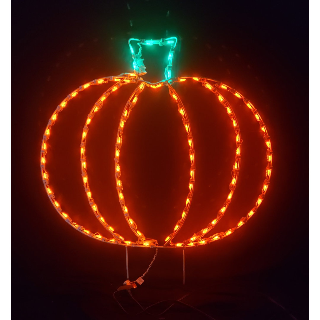 Basic Pumpkin Thanksgiving Fall Halloween Holiday Lighted Display Lori's Lighted D'Lites