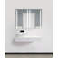 Tyrius 40 " W X 30 " H Surface and Recessed Frameless Medicine Cabinet with Mirror
