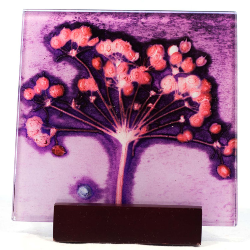 Glass Square 1 Piece Coaster, Lilac