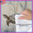 Turtles In Grass Comforter-126737333