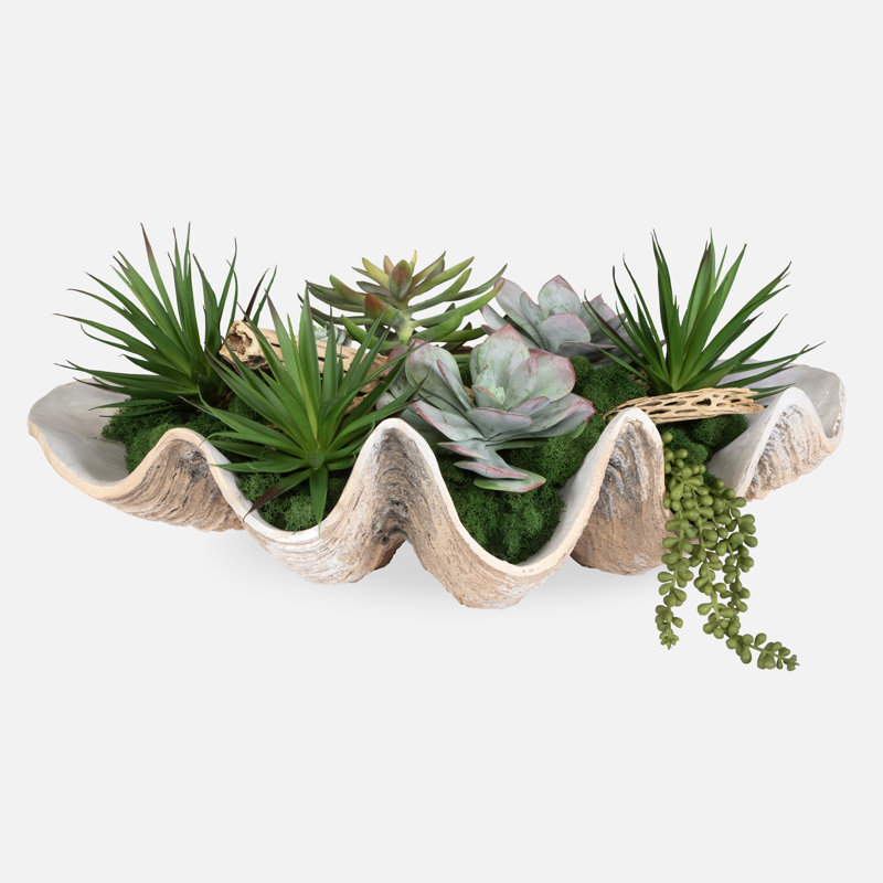 Malbon Succulents