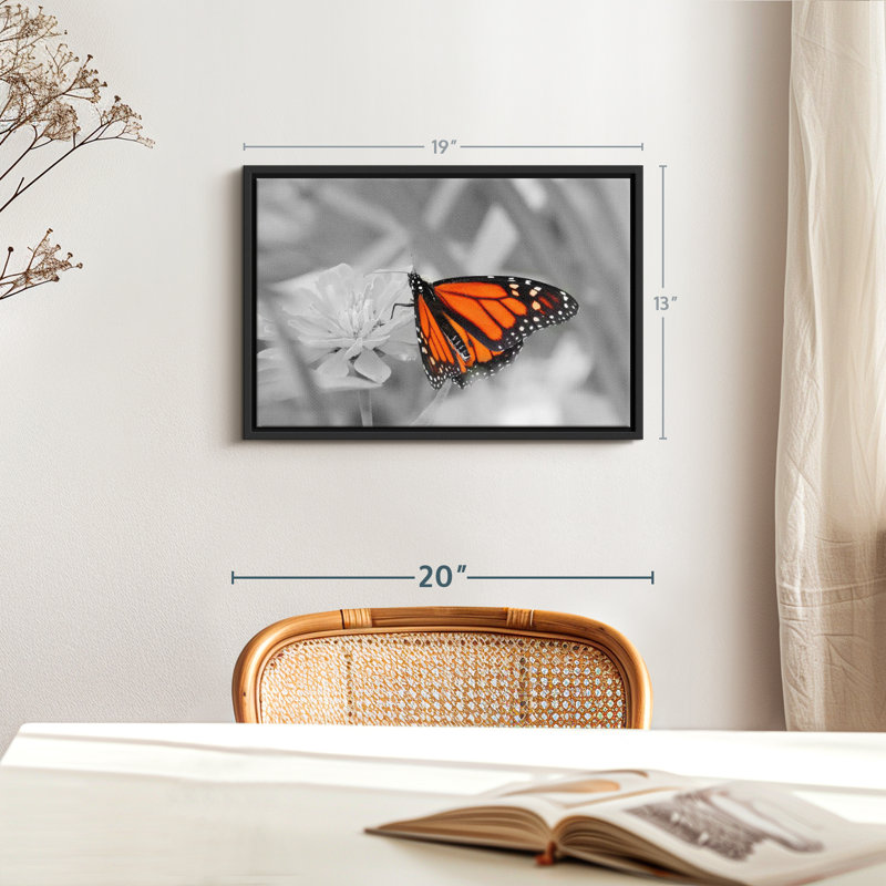 «Orange Butterfly Wonder Wall Art», H 13 po x l 19 po