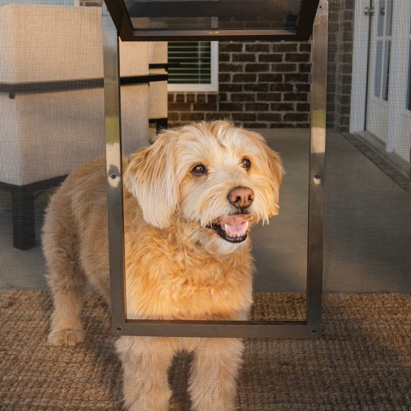 PetSafe NEVER RUST Pet Screen Door, Small