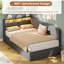 Upholstered Daybed with Charging Station & Hydraulic Storage, Corner Bed with LED Headboard-1087049669-1087049671