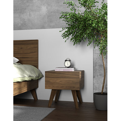 Emma 19.5'' W Nightstand